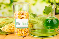South Park biofuel availability
